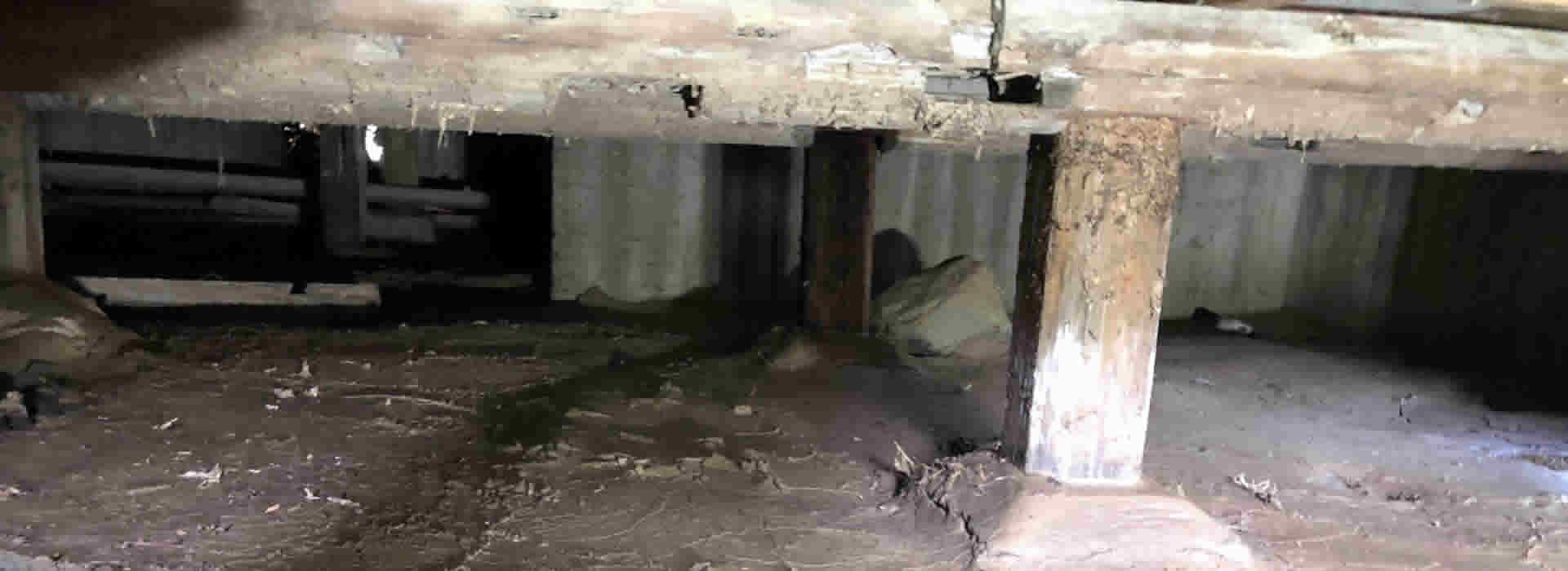 水害・床下浸水現場の現状回復作業